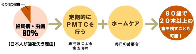 予防歯科の実情