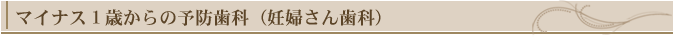 マイナス1歳からの予防歯科(妊婦さん歯科)